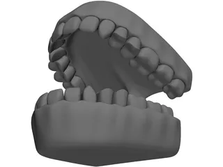 Teeth 3D Model preview