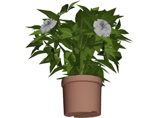 Potted Plant 3D Model preview