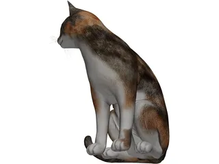 Cat Sitting Red Haired 3D Model preview