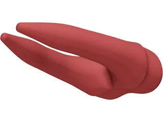 Molar Teeth 3D Model preview