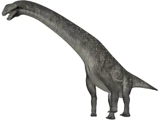 Titanosaurus 3D Model preview