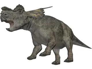 Achelousaurus 3D Model preview