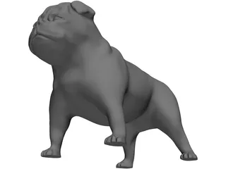 Bulldog 3D Model preview