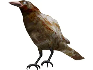 Bangor Crow 3D Model preview