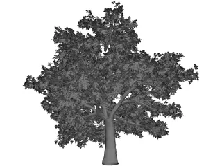 Quercus 3D Model preview