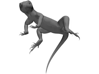 Lizard 3D Model preview