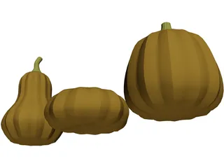 Squash 3D Model preview