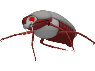 Bug (Meikever In Dutch) 3D Model preview