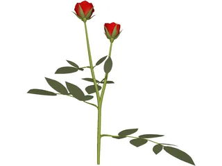 Red Rose 3D Model preview