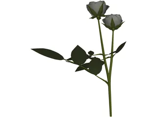 White Rose 3D Model preview