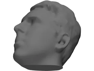 Head Male 3D Model preview