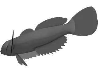 Kazika 3D Model preview
