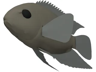 Cichlid 3D Model preview
