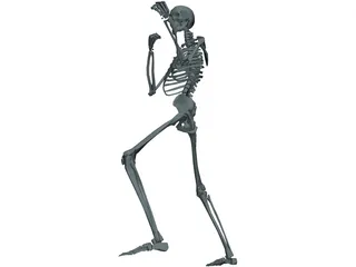 Skeleton 3D Model preview
