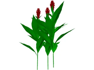 Flower 3D Model preview