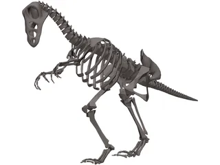 Dinosaur Skeleton 3D Model preview