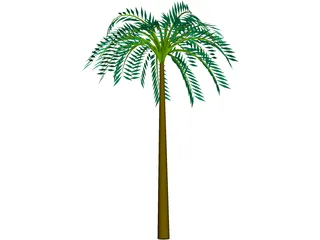 Tree Palm Tropical 3D Model preview