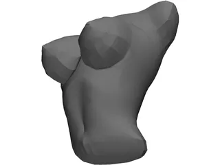 Torso Female Busty 3D Model preview