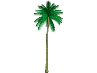 Palm Tree 3D Model preview