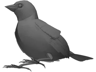 Black Bird 3D Model preview