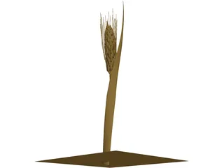 Dried Barley 3D Model preview