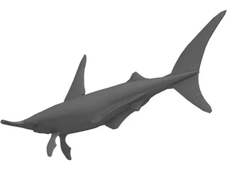Shark 3D Model preview