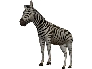 Zebra 3D Model preview