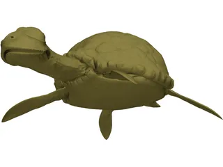 Cartoon Turtle 3D Model preview