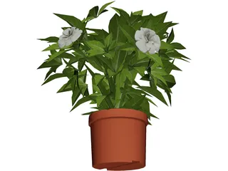 Plant 3D Model preview