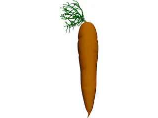 Carrot 3D Model preview