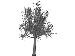 Tree 3D Model preview