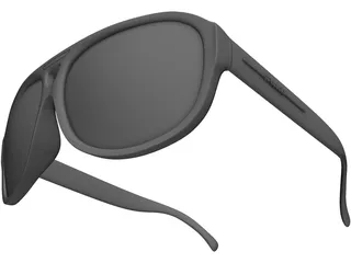 Polaroid Sunglasses 3D Model preview