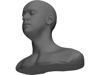 Head 3D Model preview