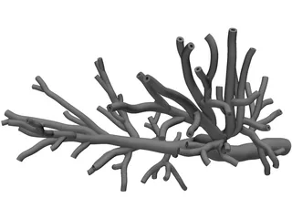 Bronchial Tree Human 3D Model preview
