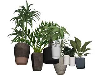 House Plant Collection 3D Model preview