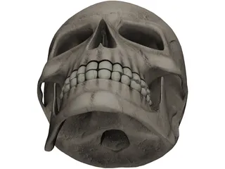 Skull 3D Model preview