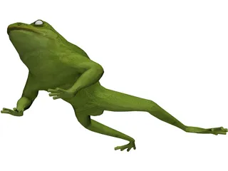 Frog 3D Model preview