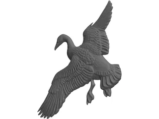 Canadian Goose 3D Model preview