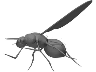 Fly 3D Model preview