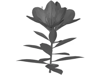 Tutuzi 3D Model preview