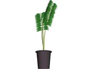 Potted Fern 3D Model preview