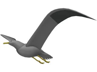 Seagull Flying 3D Model preview