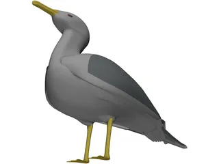 Seagull Standing 3D Model preview