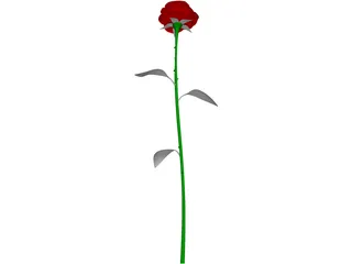 Rose 3D Model preview
