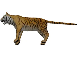 Bengal Tiger 3D Model preview