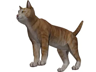 Cat 3D Model preview