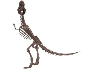 Dinosaur Skeleton 3D Model preview