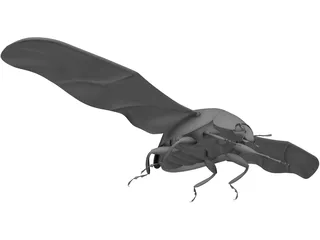 Ladybug 3D Model preview