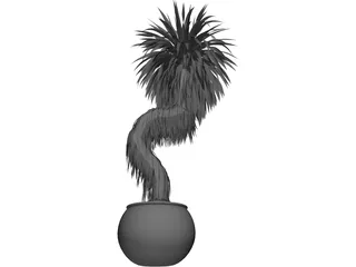 Bonsai Tree 3D Model preview