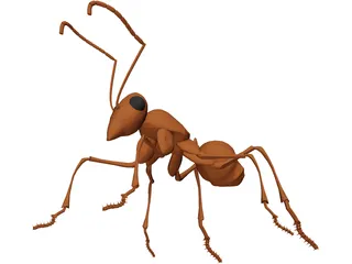 Ant 3D Model preview